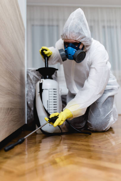 Pest Control for Hotels in Brown City, MI